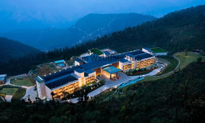 Star Events  Wedding Planner